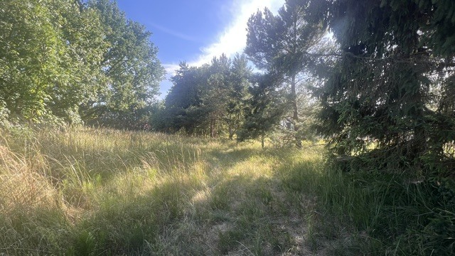 Działka na sprzedaż Tanowo 3 000 m2 | Arka Nieruchomości