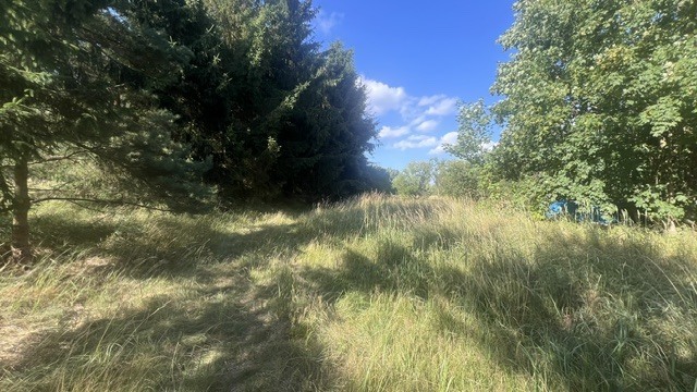Działka na sprzedaż Tanowo 3 000 m2 | Arka Nieruchomości