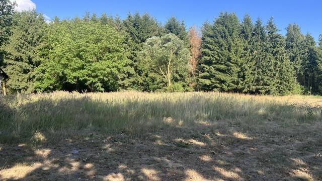 Działka na sprzedaż Tanowo 3 000 m2 | Arka Nieruchomości