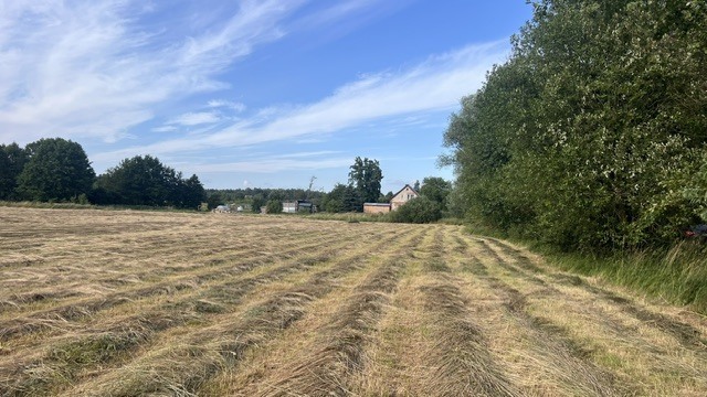 Działka na sprzedaż Tatynia 2 507 m2 | Arka Nieruchomości