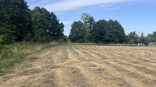 Działka na sprzedaż Tatynia 2 507 m2 | Arka Nieruchomości