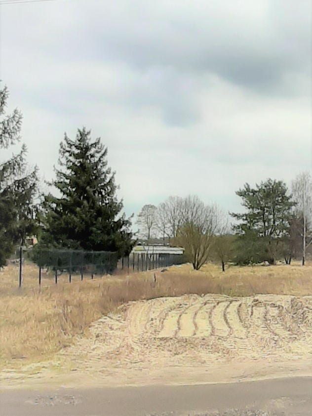 Działka na sprzedaż Tanowo 3 500 m2 | Arka Nieruchomości