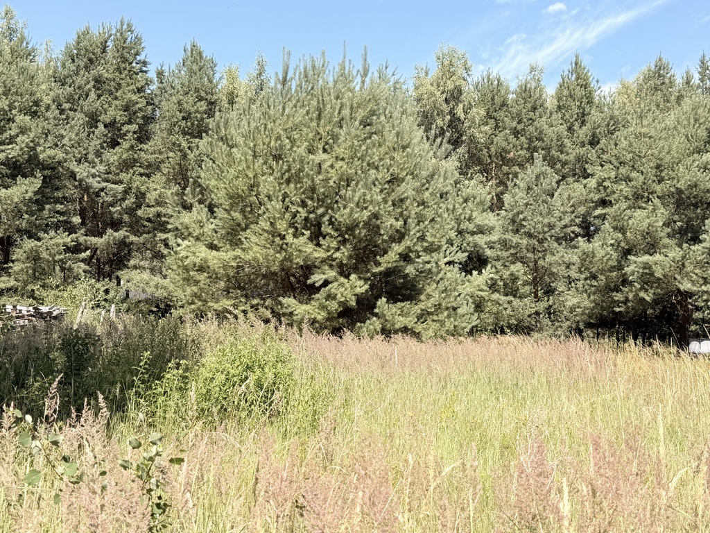 Działka na sprzedaż Tanowo 1 200 m2 | Arka Nieruchomości