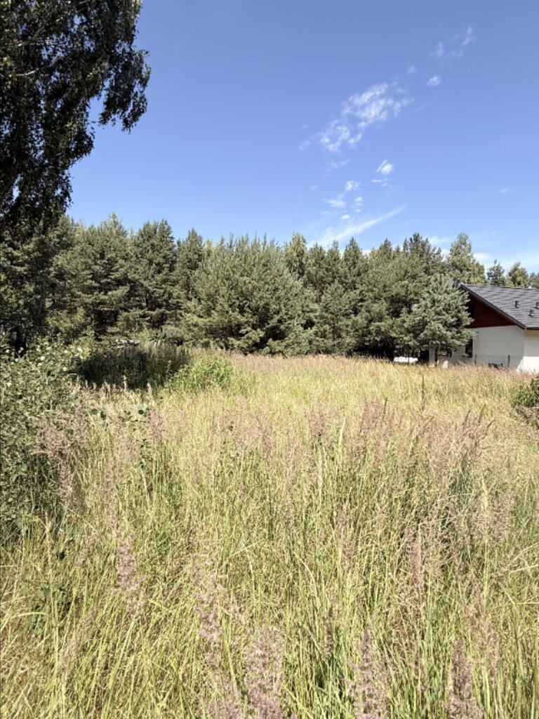 Działka na sprzedaż Tanowo 1 200 m2 | Arka Nieruchomości