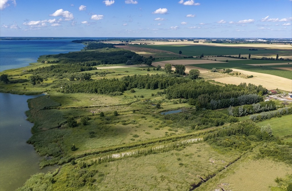 Działka na sprzedaż Wierzbno 6 087 m2 | Arka Nieruchomości
