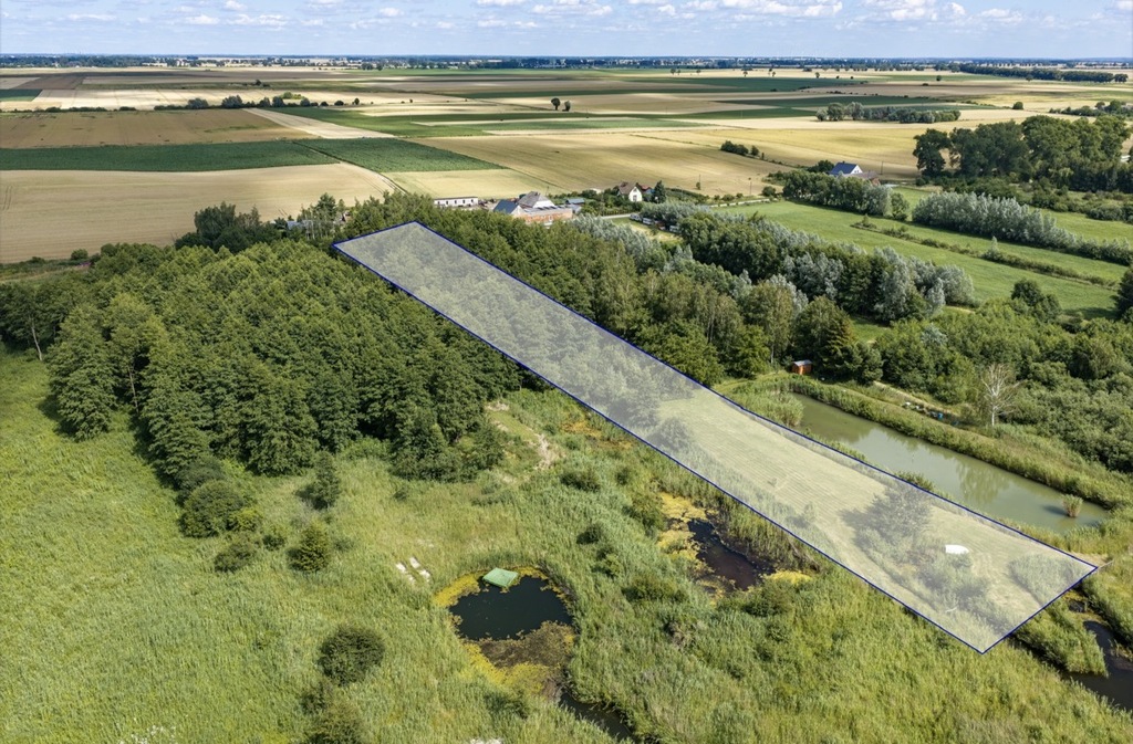 Działka na sprzedaż Wierzbno 6 087 m2 | Arka Nieruchomości