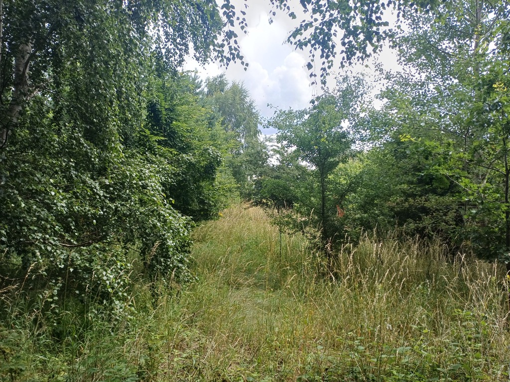 Działka budowlana w Łapinie Kartuskim ul. Bratkowa