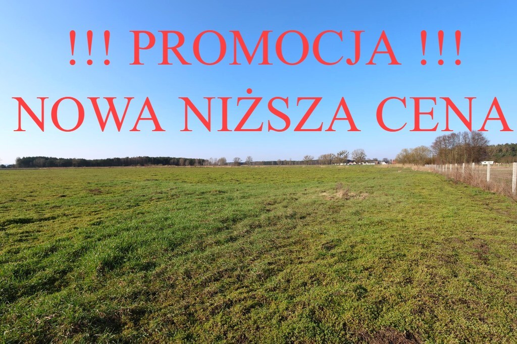 Działka na sprzedaż Lubczyna 3 000 m2 | Arka Nieruchomości
