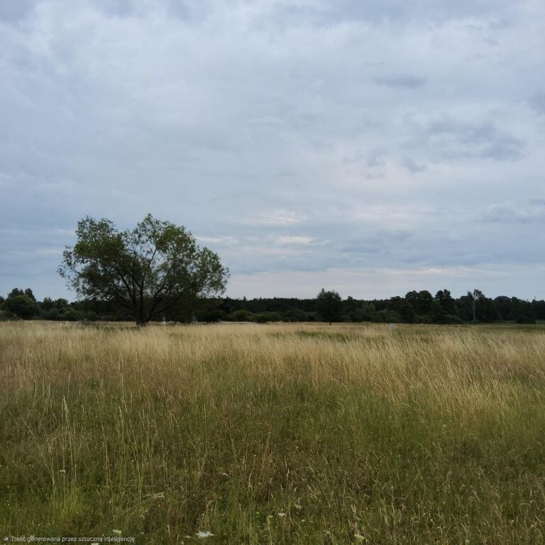 Działka na sprzedaż Buk 803 m2 | Arka Nieruchomości