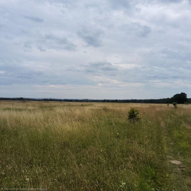 Działka na sprzedaż Buk 803 m2 | Arka Nieruchomości
