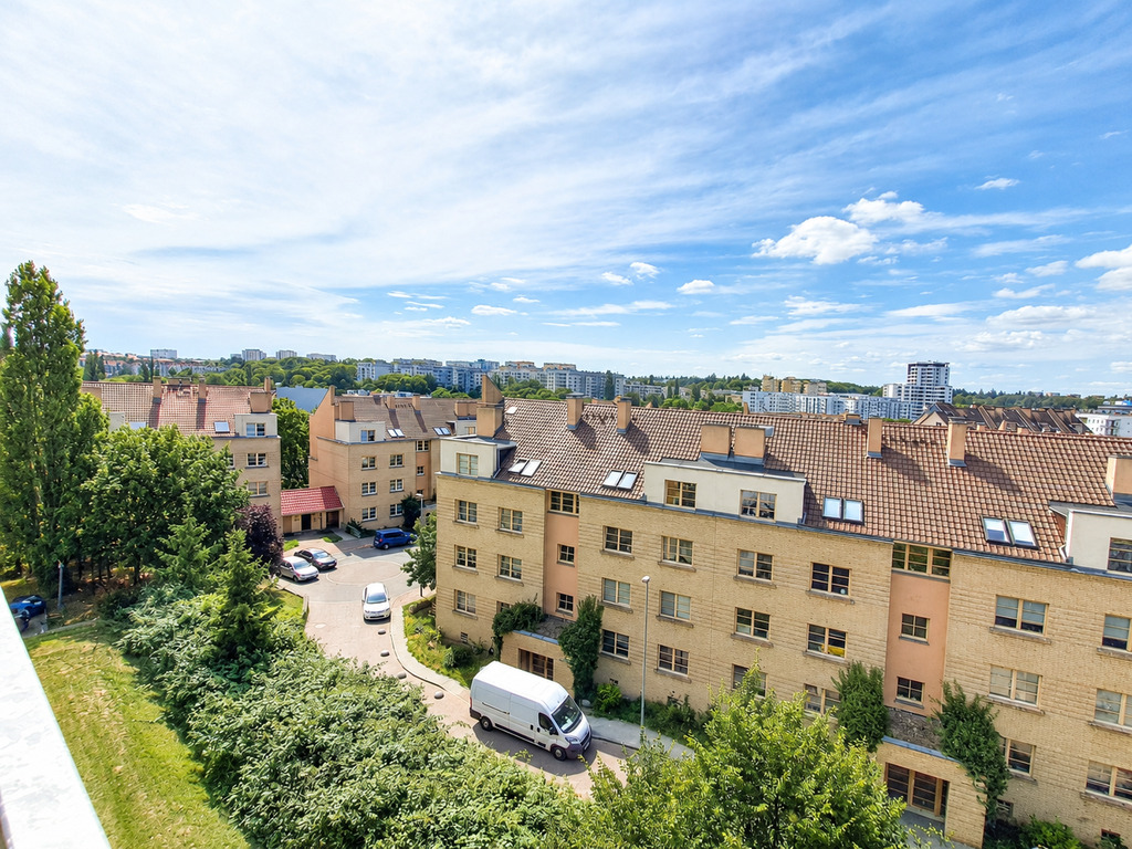 Zdjęcie 11