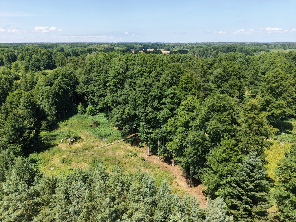 Działka na sprzedaż Uniemyśl 12 773 m2 | Arka Nieruchomości