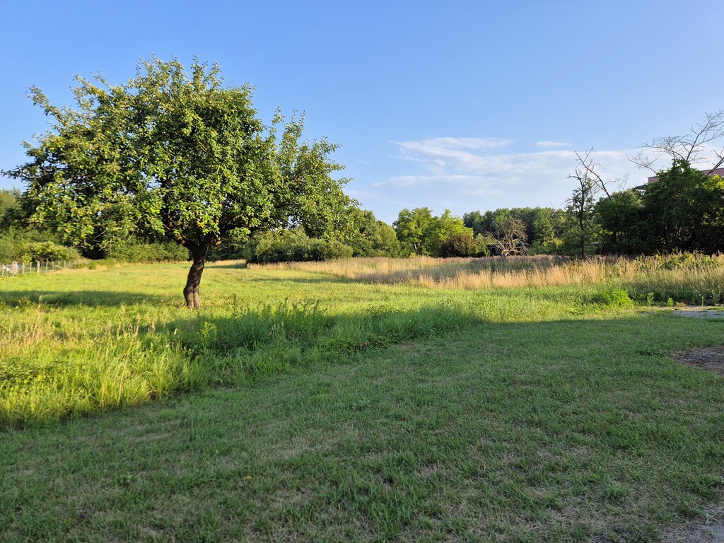 Działka na sprzedaż Niekłończyca 997 m2 | Arka Nieruchomości