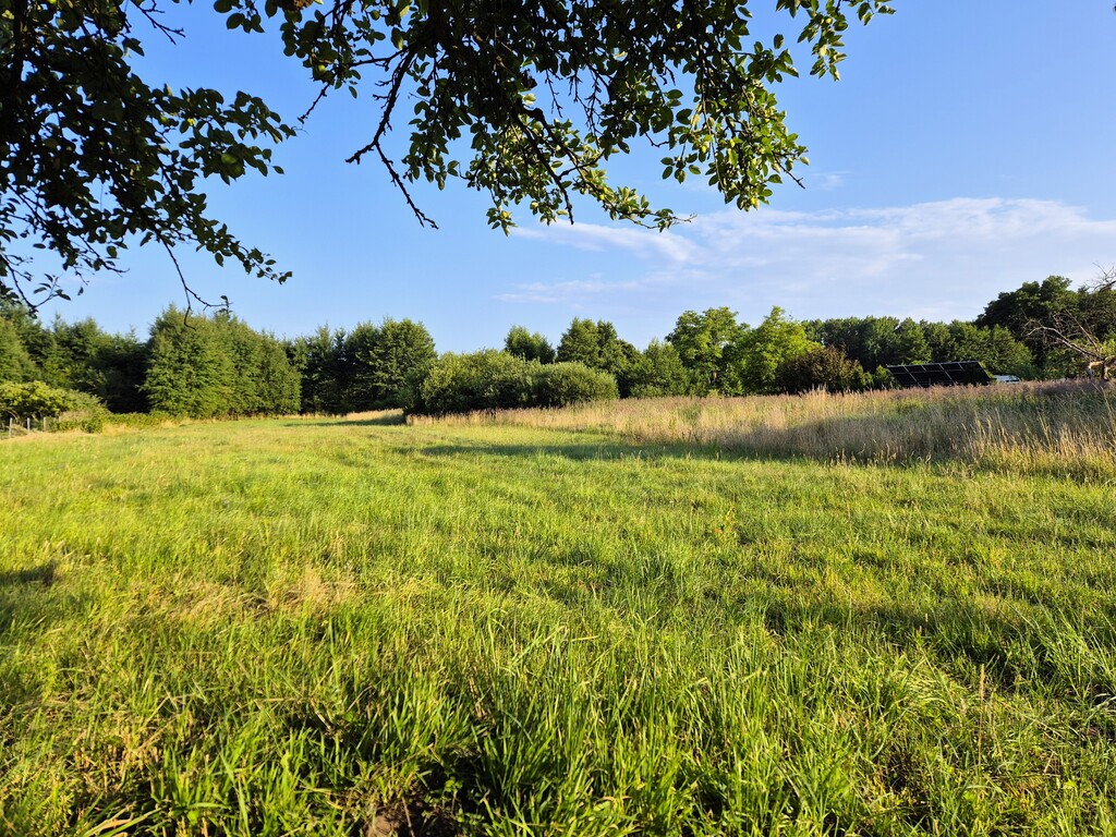 Działka na sprzedaż Niekłończyca 997 m2 | Arka Nieruchomości