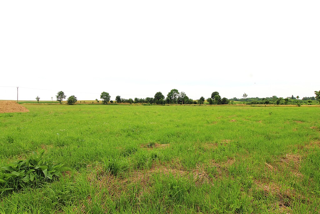 Działka na sprzedaż Żelewo 1 500 m2 | Arka Nieruchomości