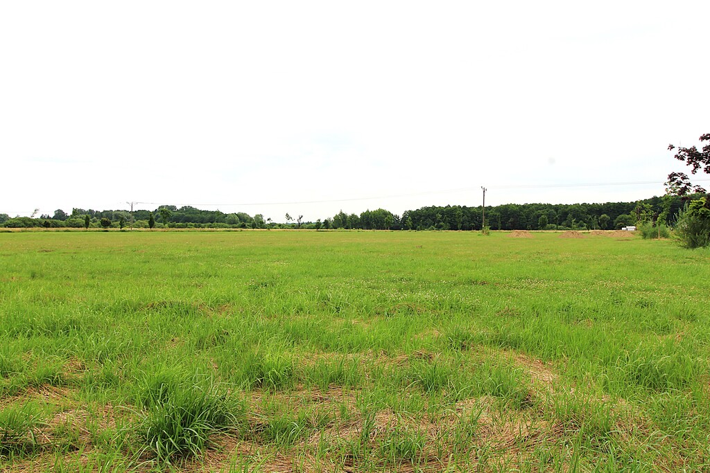 Działka na sprzedaż Żelewo 1 500 m2 | Arka Nieruchomości