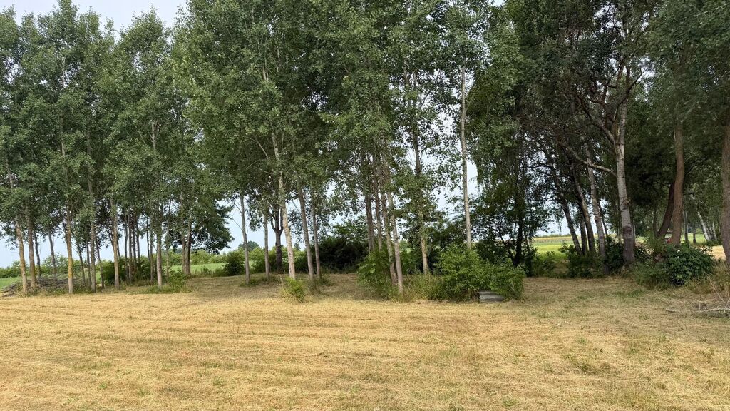 Działka na sprzedaż Marszewo 1 156 m2 | Arka Nieruchomości