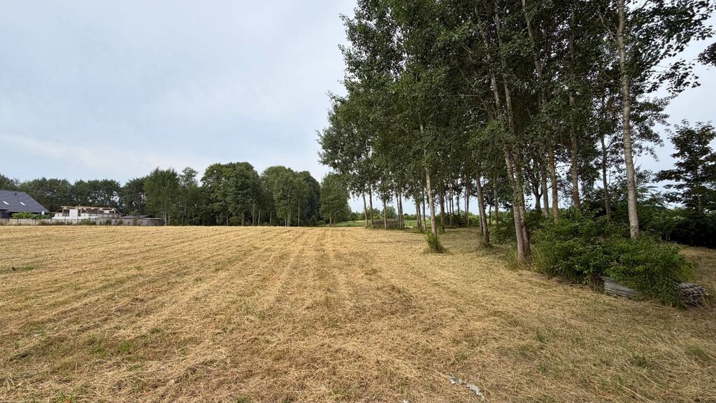 Działka na sprzedaż Marszewo 1 156 m2 | Arka Nieruchomości