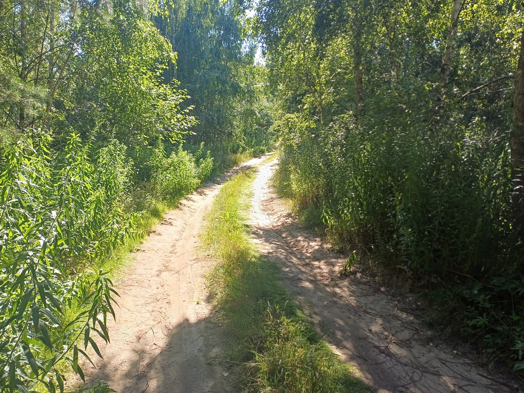 Działka budowlana w Zajezierzu, gm. Chmielno