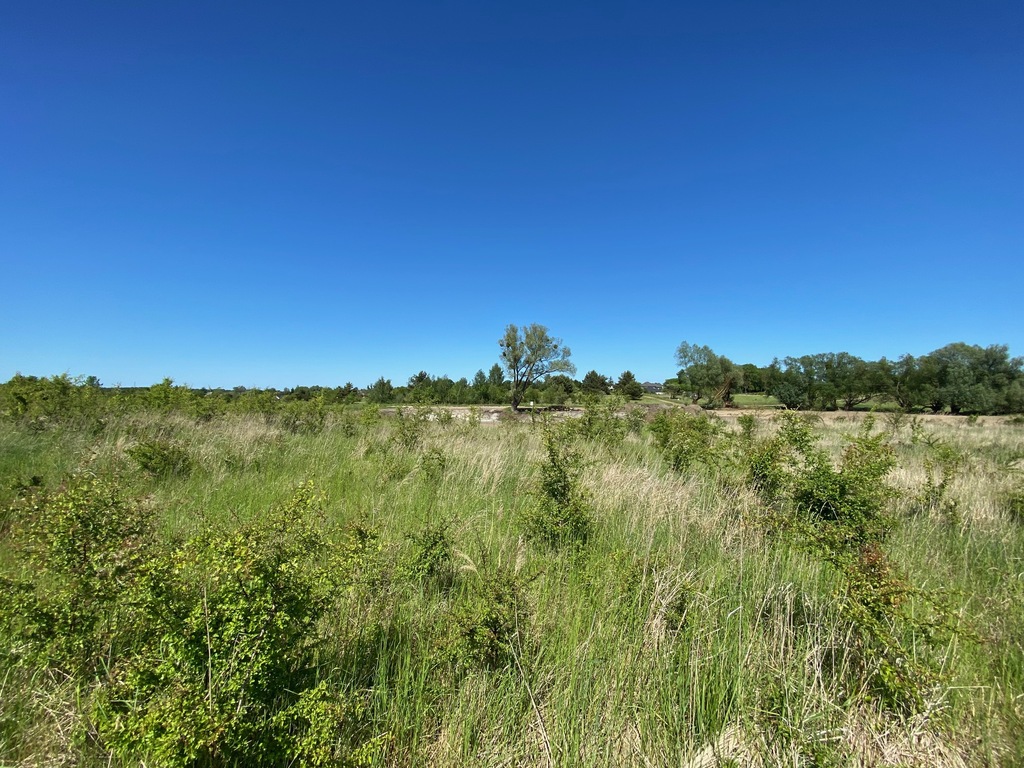 Działka na sprzedaż Dołuje 1 577 m2 | Arka Nieruchomości