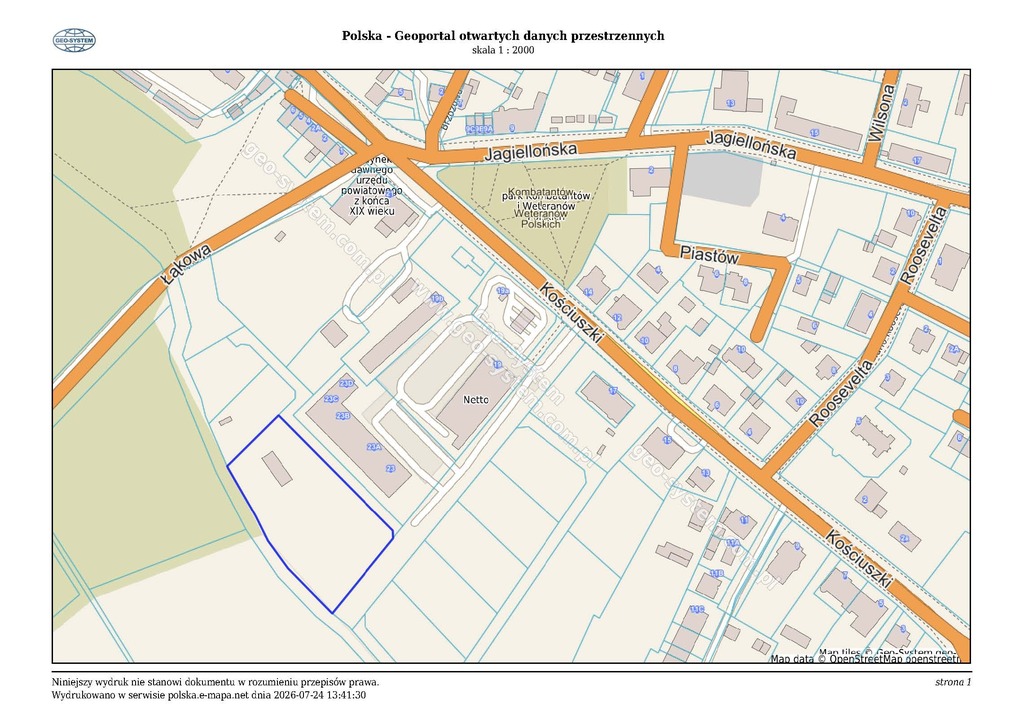 Działka na sprzedaż Chojna 5 372 m2 | Arka Nieruchomości