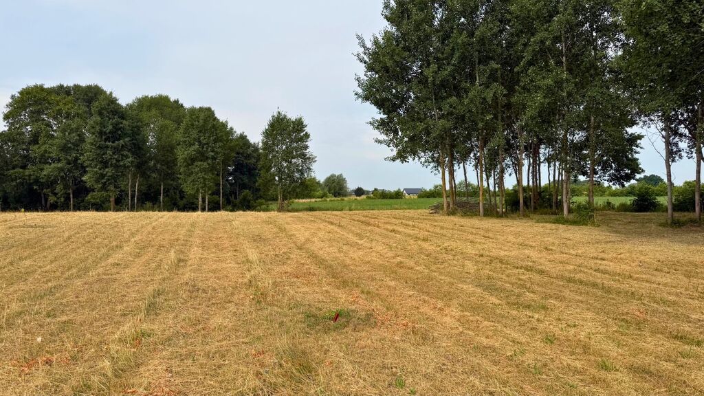 Działka na sprzedaż Marszewo 1 155 m2 | Arka Nieruchomości