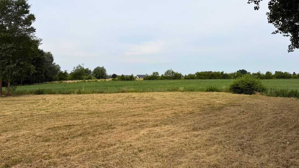 Działka na sprzedaż Marszewo 1 155 m2 | Arka Nieruchomości