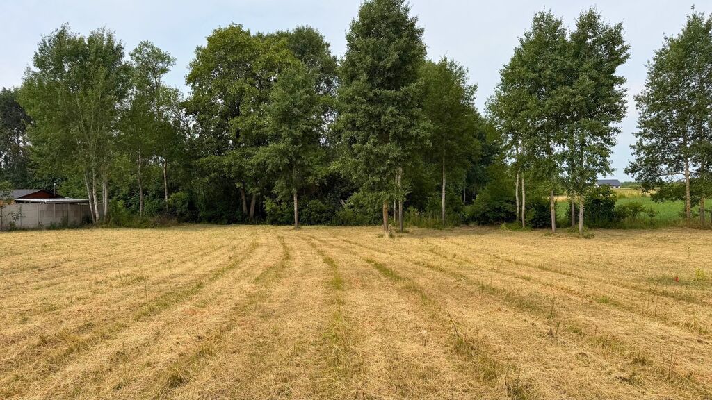 Działka na sprzedaż Marszewo 1 250 m2 | Arka Nieruchomości