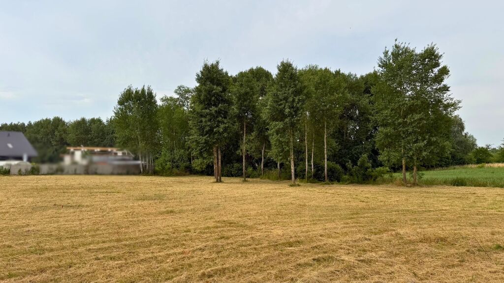Działka na sprzedaż Marszewo 1 250 m2 | Arka Nieruchomości
