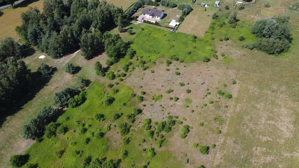 Działka 1007 m² z WZ, blisko Doliny Baryczy i tras