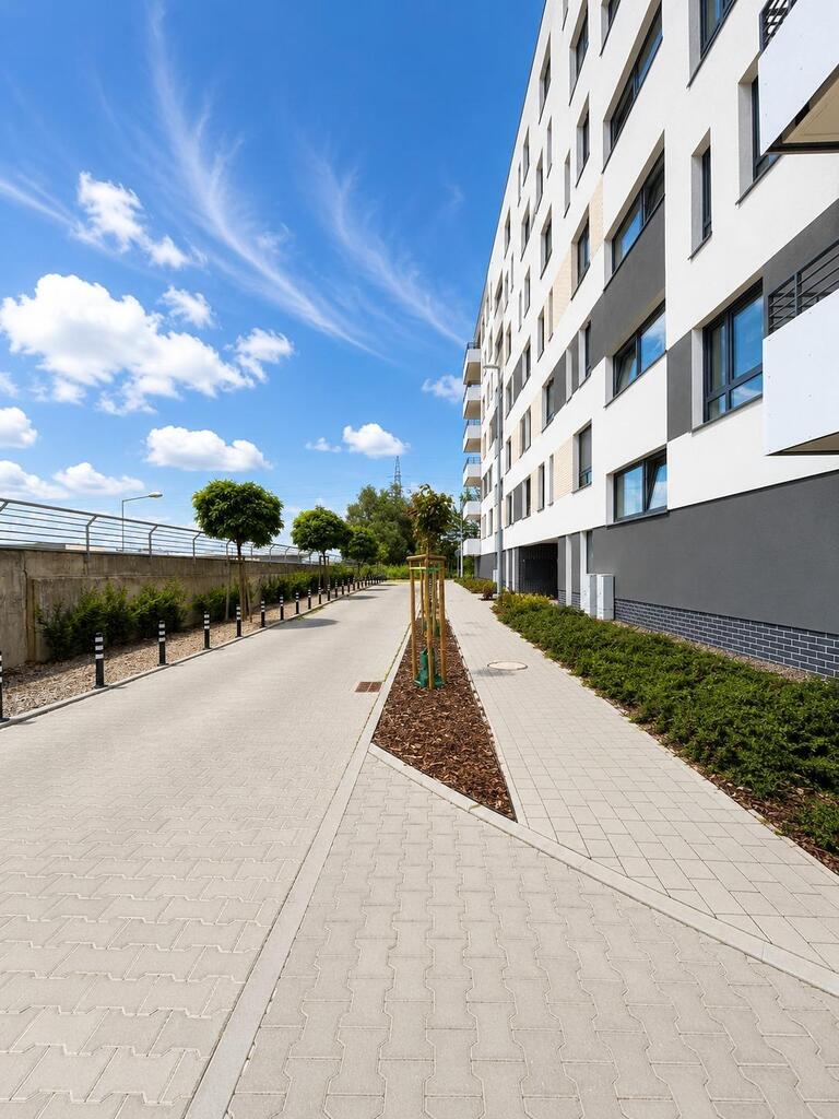 Zdjęcie 8
