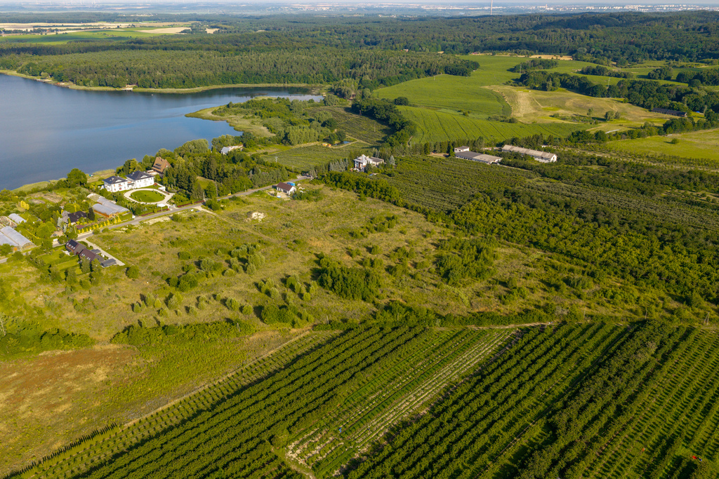 Działka na sprzedaż Binowo 6 985 m2 | Arka Nieruchomości