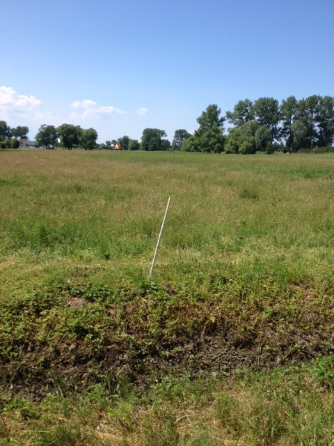 Działka na sprzedaż Lubczyna 1 301 m2 | Arka Nieruchomości