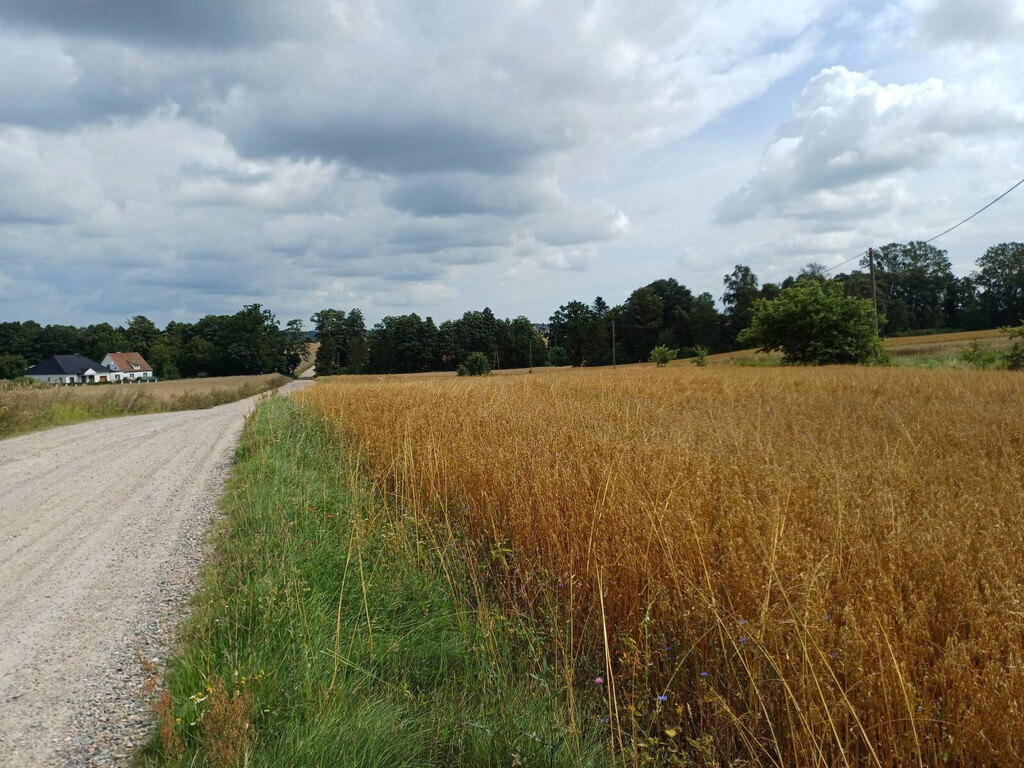 Działki budowlane w Żukowie