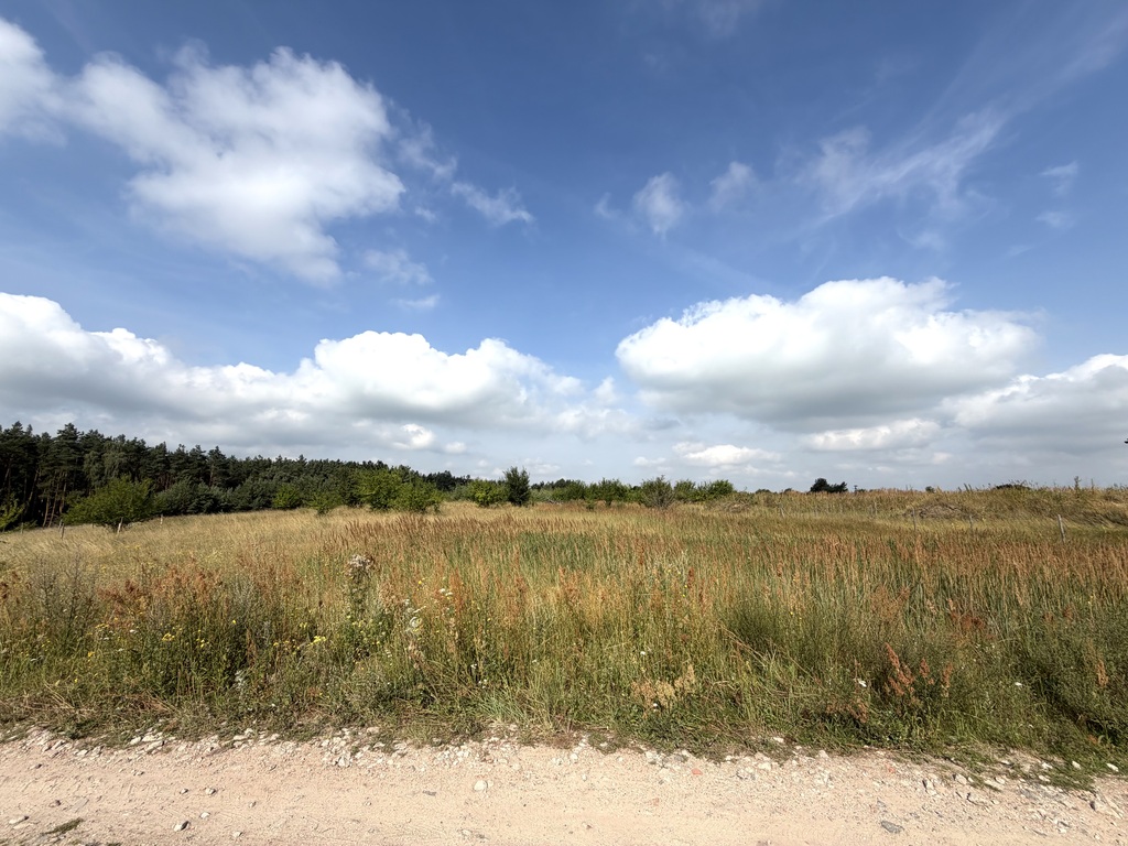 Działka na sprzedaż Daleszewo 1 189 m2 | Arka Nieruchomości