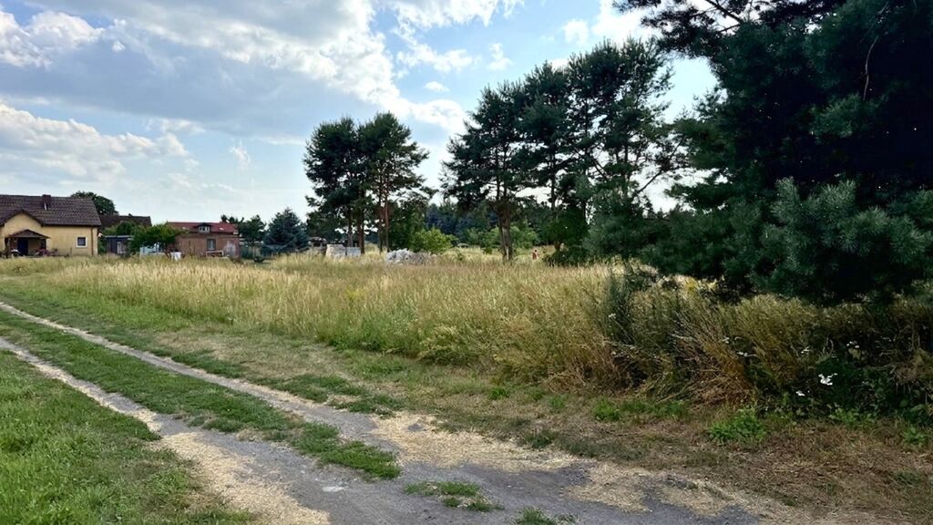 Działka na sprzedaż Modrzewie 2 684 m2 | Arka Nieruchomości
