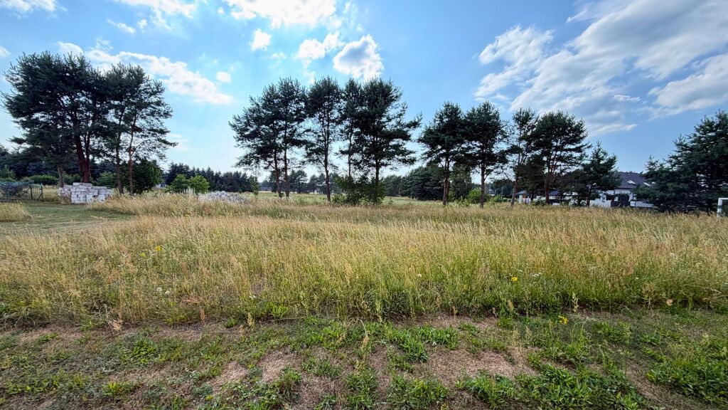 Działka na sprzedaż Modrzewie 2 684 m2 | Arka Nieruchomości