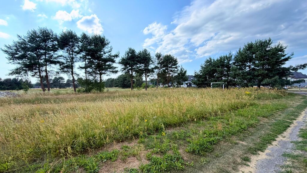 Działka na sprzedaż Modrzewie 2 684 m2 | Arka Nieruchomości