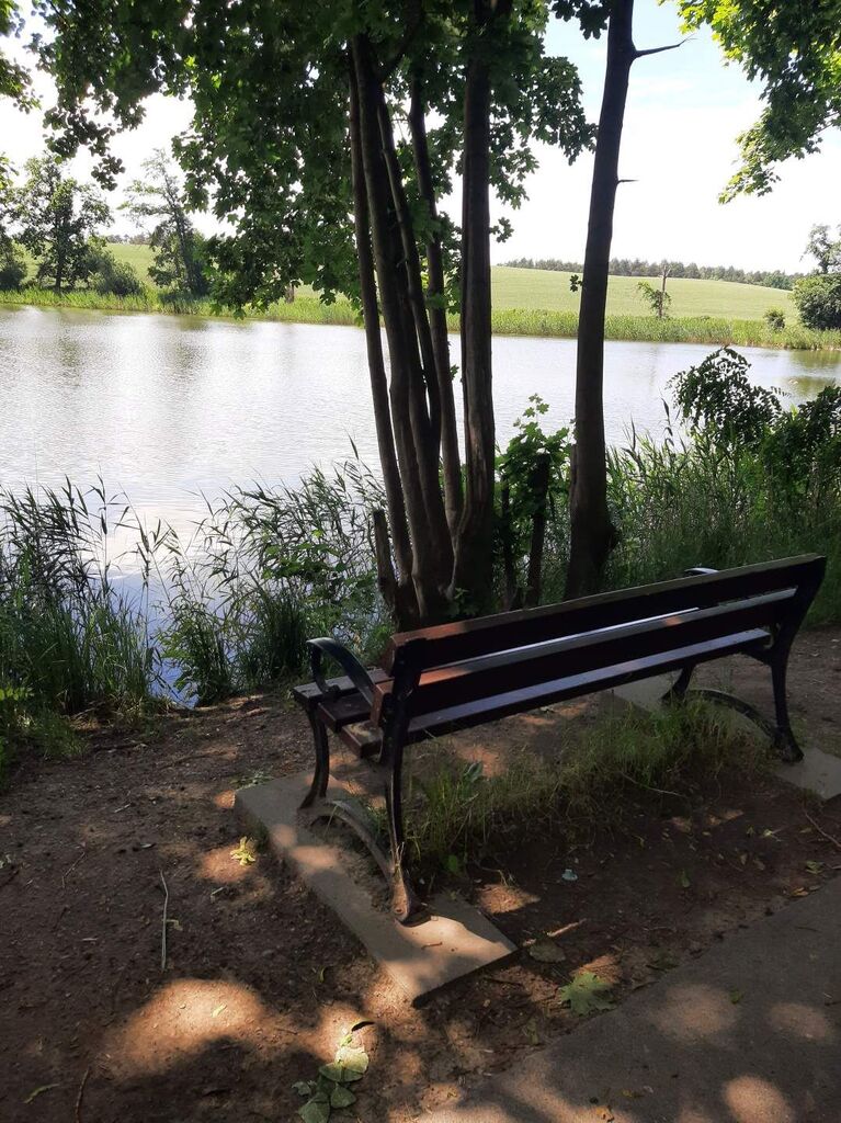 Dom na sprzedaż Borzym 191 m2 | Arka Nieruchomości