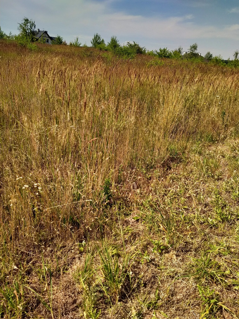 Działka na sprzedaż Dobra 1 045 m2 | Arka Nieruchomości