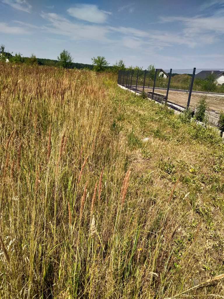 Działka na sprzedaż Dobra 1 045 m2 | Arka Nieruchomości