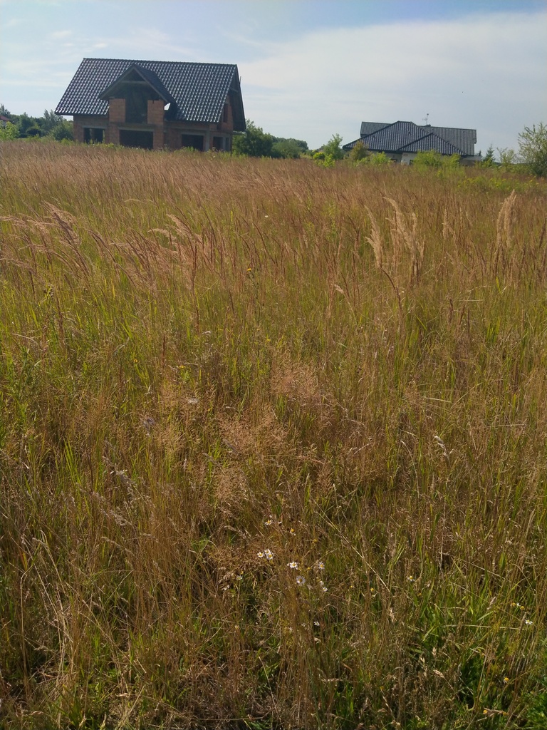 Działka na sprzedaż Dobra 1 045 m2 | Arka Nieruchomości