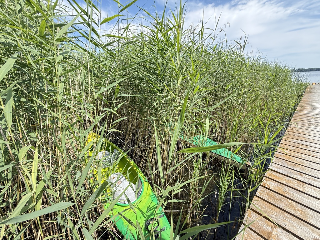 Działka na sprzedaż Oświno 5 407 m2 | Arka Nieruchomości
