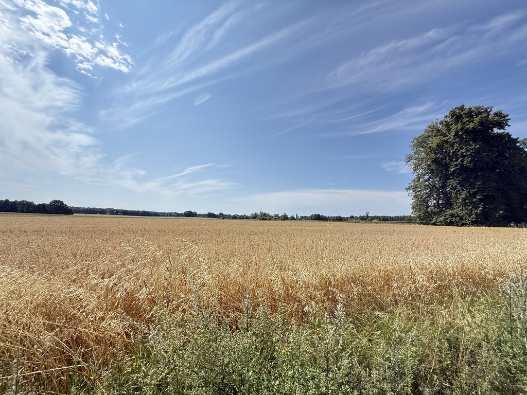 Działka na sprzedaż Oświno 2 295 m2 | Arka Nieruchomości