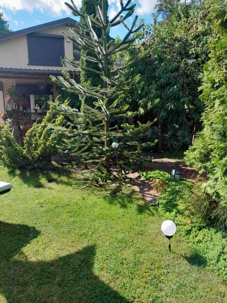 Dom na sprzedaż Szczecin, Żelechowa 285 m2 | Arka Nieruchomości