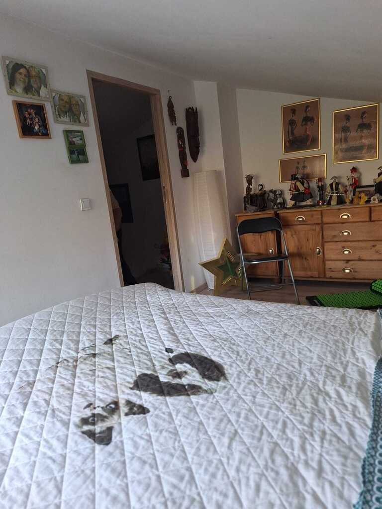 Dom na sprzedaż Szczecin, Żelechowa 285 m2 | Arka Nieruchomości