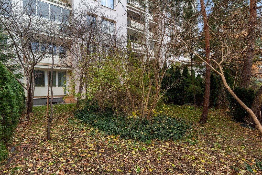 Po remoncie | ogródek | loggia | metro – zdjęcie 11