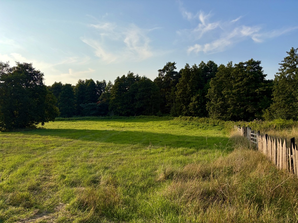 Działka na sprzedaż Tanowo 3 300 m2 | Arka Nieruchomości