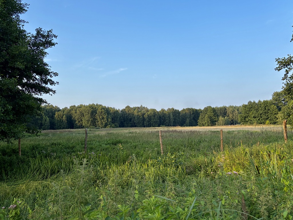 Działka na sprzedaż Tanowo 9 846 m2 | Arka Nieruchomości