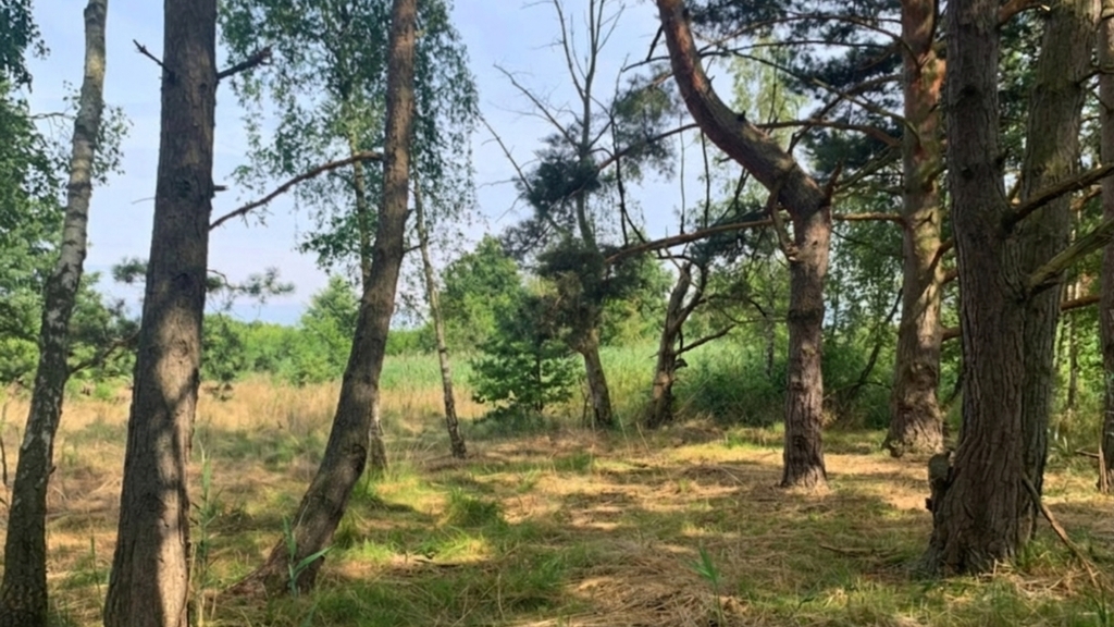 Działka na sprzedaż Międzywodzie 1 817 m2 | Arka Nieruchomości